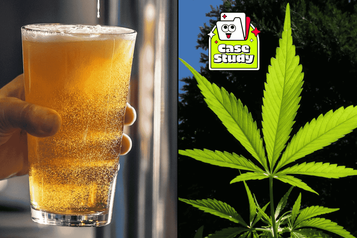 Drinking Cannabis Beverages Reduces Alcohol Use And Improves Sleep
