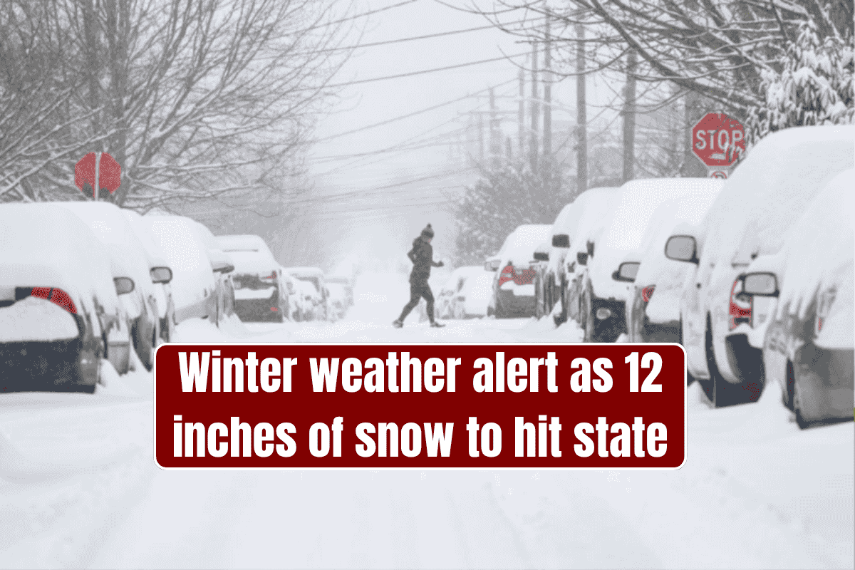Winter weather alert as 12 inches of snow to hit state